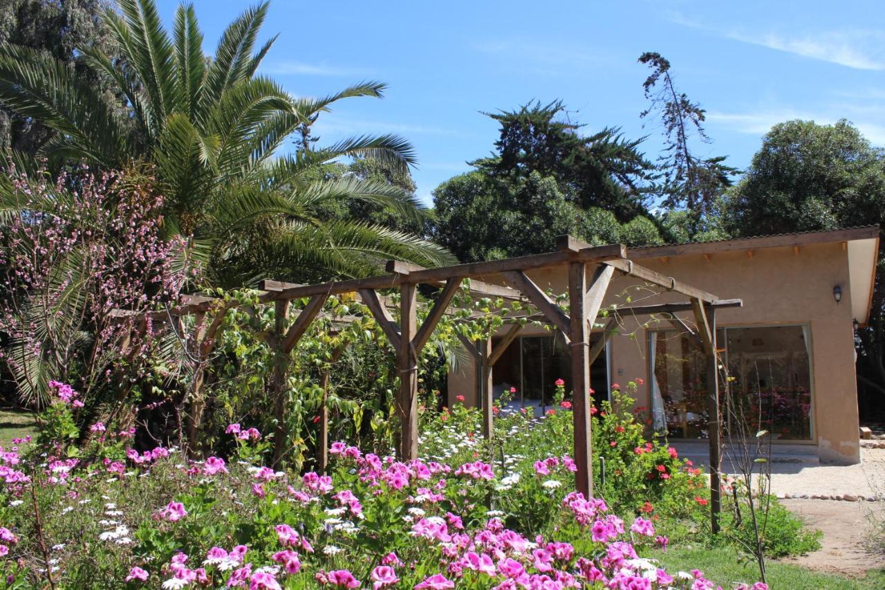 El Arbol Eco Lodge Ла-Серена Экстерьер фото