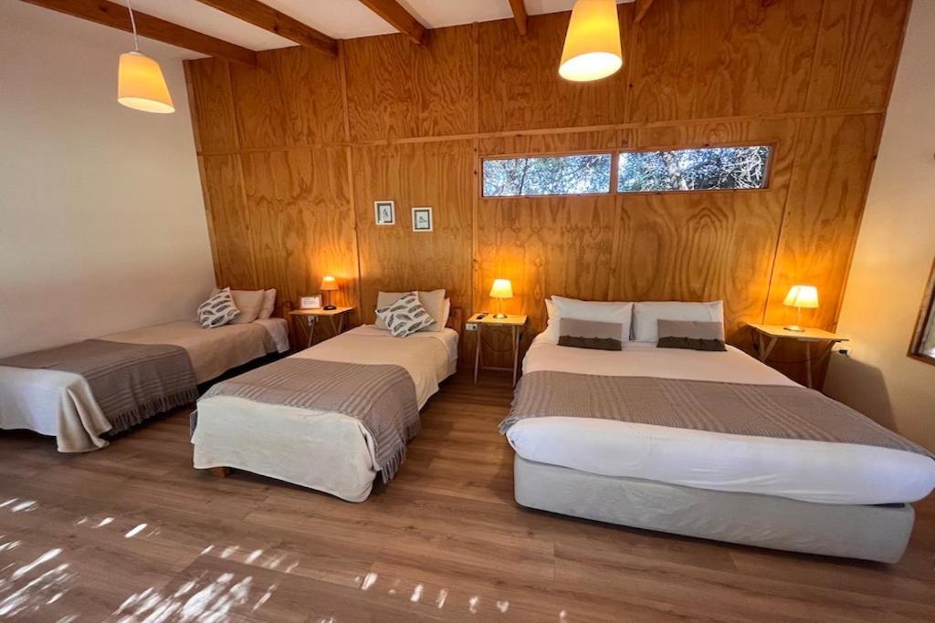 El Arbol Eco Lodge Ла-Серена Экстерьер фото