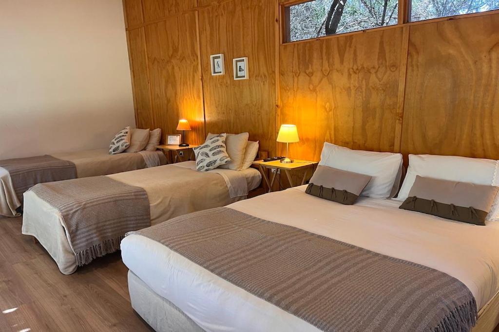 El Arbol Eco Lodge Ла-Серена Экстерьер фото
