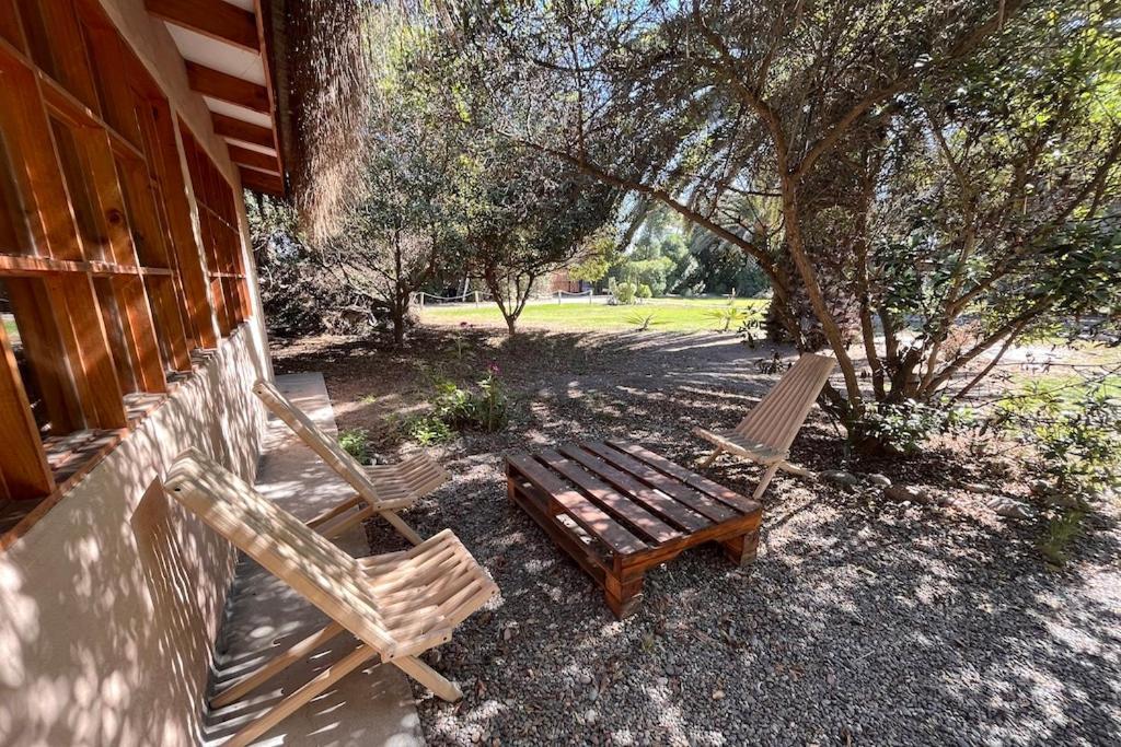 El Arbol Eco Lodge Ла-Серена Экстерьер фото